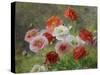 Cluster of Poppies, 1884-Louis Marie Lemaire-Stretched Canvas