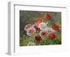 Cluster of Poppies, 1884-Louis Marie Lemaire-Framed Giclee Print