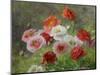 Cluster of Poppies, 1884-Louis Marie Lemaire-Mounted Giclee Print