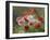 Cluster of Poppies, 1884-Louis Marie Lemaire-Framed Giclee Print