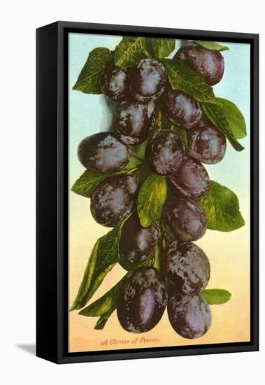 Cluster of Prunes-null-Framed Stretched Canvas