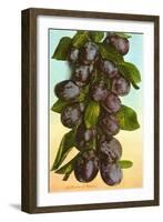 Cluster of Prunes-null-Framed Art Print