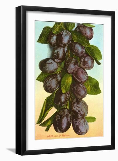 Cluster of Prunes-null-Framed Art Print