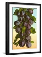 Cluster of Prunes-null-Framed Art Print