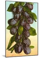 Cluster of Prunes-null-Mounted Art Print