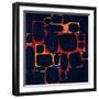 Cluster-Rex Ray-Framed Art Print