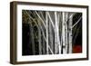 Clusters-Valda Bailey-Framed Photographic Print