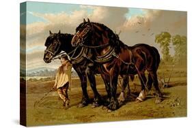 Clydesdale Stallion and Mare-Samuel Sidney-Stretched Canvas