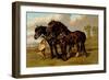 Clydesdale Stallion and Mare-Samuel Sidney-Framed Art Print