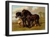 Clydesdale Stallion and Mare-Samuel Sidney-Framed Art Print