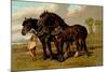Clydesdale Stallion and Mare-Samuel Sidney-Mounted Art Print