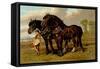 Clydesdale Stallion and Mare-Samuel Sidney-Framed Stretched Canvas