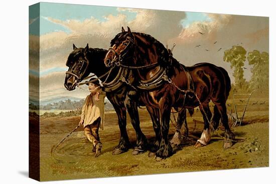 Clydesdale Stallion and Mare-Samuel Sidney-Stretched Canvas