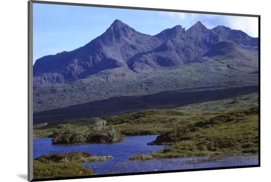 Photographic Print, , large