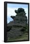 Essential Black