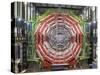 CMS Detector, CERN-David Parker-Stretched Canvas