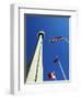 Cn Tower at 533 M or 1,815 Ft High, Canada's Wonder of the World, in Downtown Toronto-Mark Hannaford-Framed Photographic Print