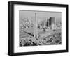 CN Tower in Toronto-null-Framed Photographic Print