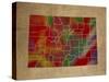 CO Colorful Counties-Red Atlas Designs-Stretched Canvas