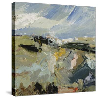 'Co. Donegal, Ireland' Stretched Canvas Print Tuema Pattie