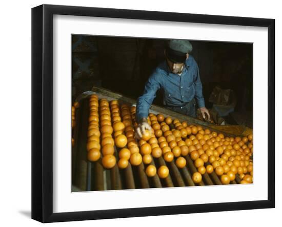 Photo, , large