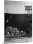 Coach Jess Hill, Leading the Track Team's Practice-John Florea-Mounted Photographic Print