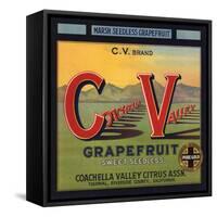 Coachella Valley Brand - Thermal, California - Citrus Crate Label-Lantern Press-Framed Stretched Canvas