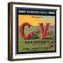 Coachella Valley Brand - Thermal, California - Citrus Crate Label-Lantern Press-Framed Art Print