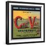 Coachella Valley Brand - Thermal, California - Citrus Crate Label-Lantern Press-Framed Art Print