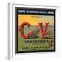 Coachella Valley Brand - Thermal, California - Citrus Crate Label-Lantern Press-Framed Art Print