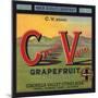 Coachella Valley Brand - Thermal, California - Citrus Crate Label-Lantern Press-Mounted Art Print