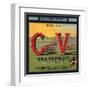 Coachella Valley Brand - Thermal, California - Citrus Crate Label-Lantern Press-Framed Art Print