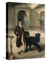 Coachman with Newfoundland Dog-John E. Ferneley-Stretched Canvas