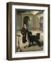 Coachman with Newfoundland Dog-John E. Ferneley-Framed Giclee Print