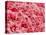 Coagulated Human Red Blood Cells-Micro Discovery-Stretched Canvas