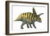 Coahuilaceratops Dinosaur-Stocktrek Images-Framed Premium Giclee Print