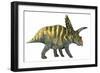 Coahuilaceratops Dinosaur-Stocktrek Images-Framed Premium Giclee Print
