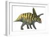 Coahuilaceratops Dinosaur-Stocktrek Images-Framed Premium Giclee Print