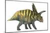 Coahuilaceratops Dinosaur-Stocktrek Images-Mounted Premium Giclee Print