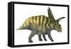 Coahuilaceratops Dinosaur-Stocktrek Images-Framed Stretched Canvas