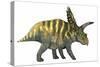 Coahuilaceratops Dinosaur-Stocktrek Images-Stretched Canvas
