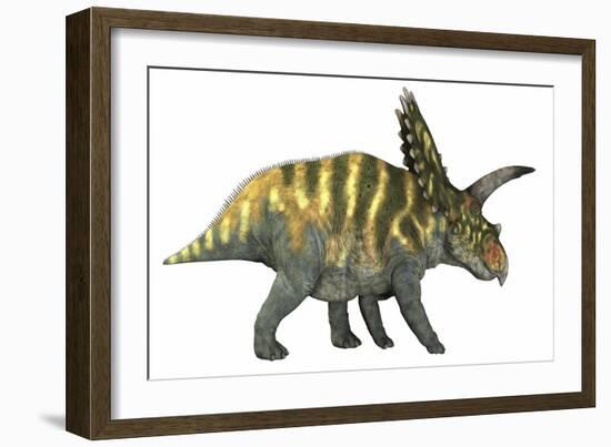 Coahuilaceratops Dinosaur-Stocktrek Images-Framed Art Print