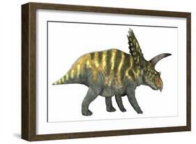 Coahuilaceratops Dinosaur-Stocktrek Images-Framed Art Print