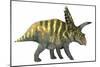 Coahuilaceratops Dinosaur-Stocktrek Images-Mounted Art Print