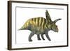 Coahuilaceratops Dinosaur-Stocktrek Images-Framed Art Print