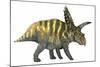 Coahuilaceratops Dinosaur-Stocktrek Images-Mounted Art Print