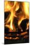 Coal Fire-Duncan Shaw-Mounted Photographic Print