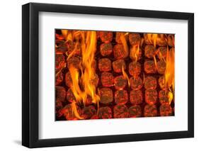 Coal Fire-Steve Gadomski-Framed Photographic Print