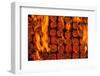 Coal Fire-Steve Gadomski-Framed Photographic Print