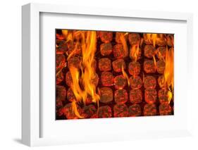 Coal Fire-Steve Gadomski-Framed Photographic Print